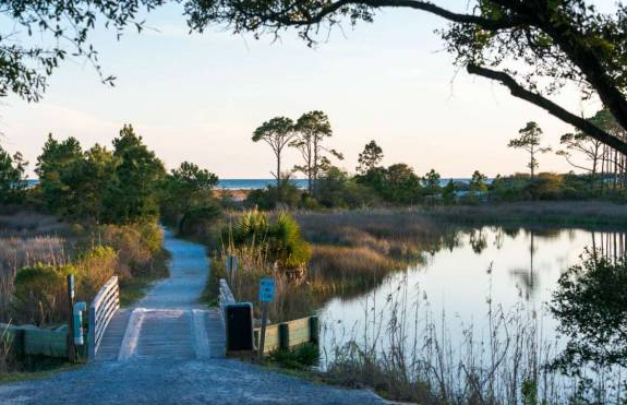 Things To Do https://30aescapes.icnd-cdn.com/images/thingstodo/excursion.png