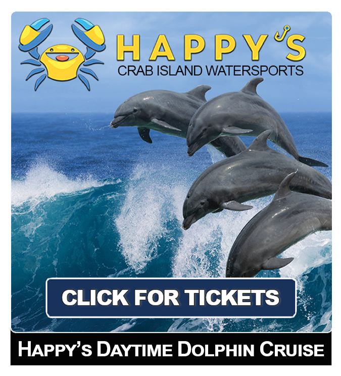 Crab island dolphin cruise