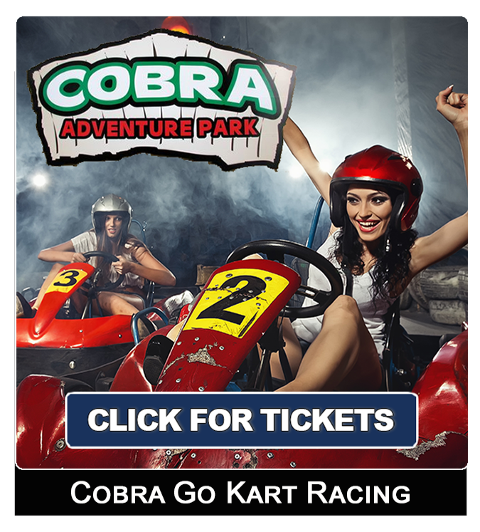 Cobra Go Kart PCB Tickets