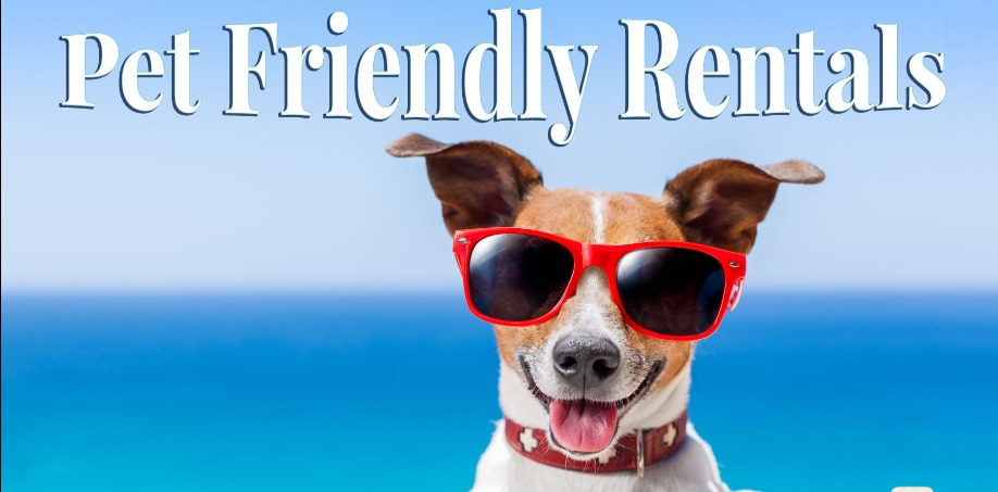 30A Pet Friendly Rentals