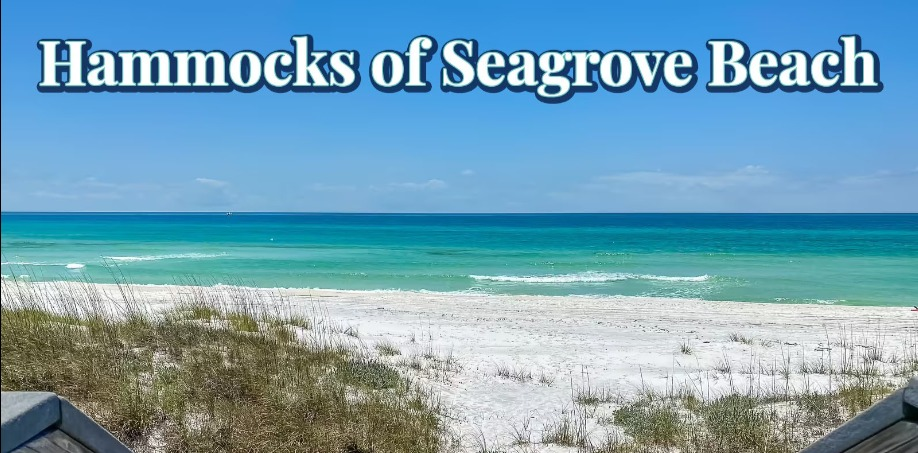 30A Hammocks of Seagrove Beach Vacation Rentals